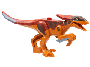 Animal, Dinosaur