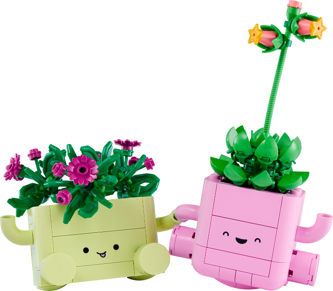 LEGO Botanicals 11506 - Rocking Plants - Image 1