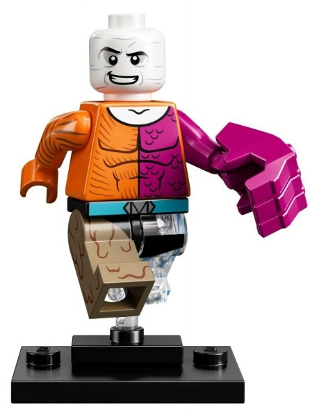 LEGO Collectible Minifigures colsh-12 - colsh Metamorpho, DC Super Heroes (Complete Set with Stand and Accessories)