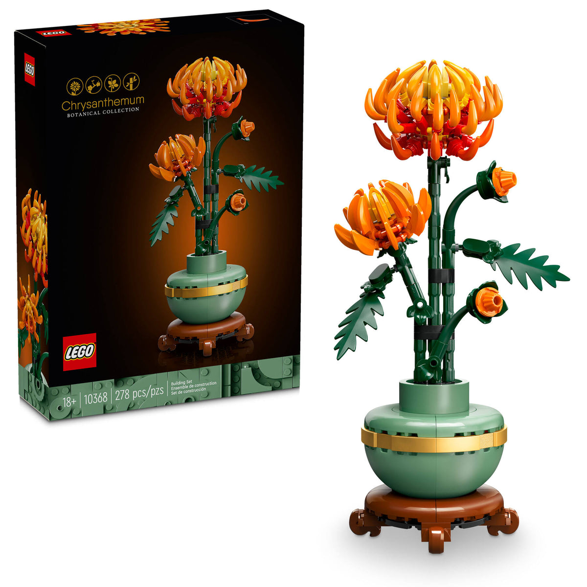 LEGO Botanicals 10368 Chrysanthemum, box and model
