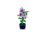 LEGO Botanicals 10372 - Hibiscus - Authentic LEGO Set Image 4