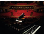 LEGO LEGO Ideas (CUUSOO) 21323 - Grand Piano - Authentic LEGO Set Image 23