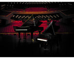 LEGO LEGO Ideas (CUUSOO) 21323 - Grand Piano - Authentic LEGO Set Image 4