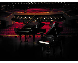 LEGO LEGO Ideas (CUUSOO) 21323 - Grand Piano - Authentic LEGO Set Image 4