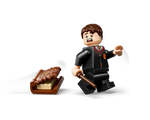 LEGO Harry Potter 76449 - Chomping Monster Book of Monsters - Authentic LEGO Set Image 17
