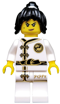 LEGO Collectible Minifigures coltlnm-2 - Spinjitzu Training Nya, The LEGO Ninjago Movie (Complete Set met Standaard en Accessoires)