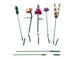 LEGO Botanicals 10280 - Flower Bouquet - Authentic LEGO Set Image 6