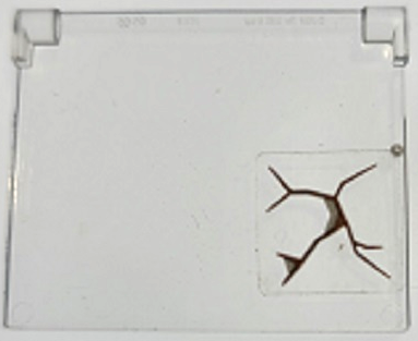 Clear LEGO 1x4x3 window pane with a dark brown crack pattern sticker in the lower right corner.