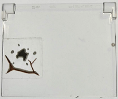 LEGO 1x4x3 window glass with sticker featuring dark brown cracks and dark bluish gray mud spots pattern from set 70424.