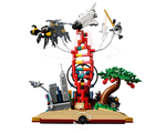 LEGO LEGO Ideas (CUUSOO) 21355 - The Evolution of STEM - Authentic LEGO Set Image 8
